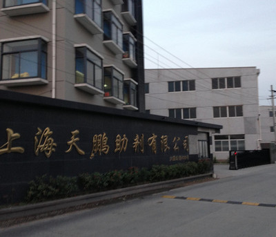 上海天鹏助剂屋顶避雷带施工